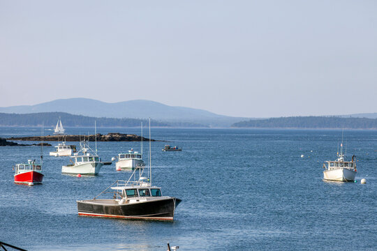 Boats moored in Bar Harbor, ME