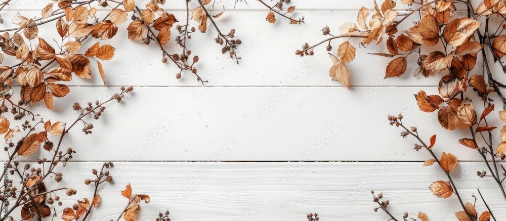 Poster autumn dried vegetation on white wood. copy space image. place for adding text and design