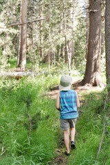 Boy walking through a lush forest path, wearing a cap, back turned
