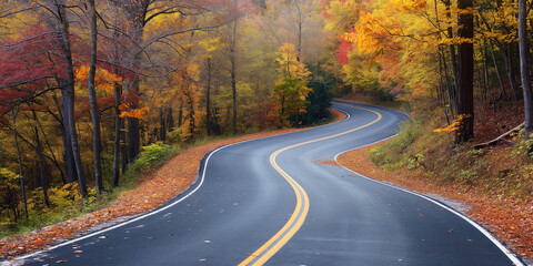 Fototapeta premium Landscape a winding road snaking through a vibrant autumn forest. 