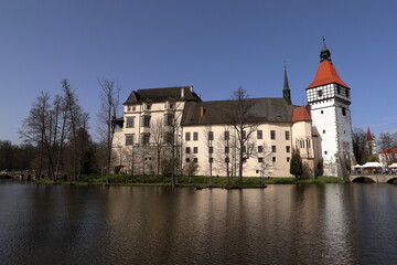 Fototapeta premium castle in the country
