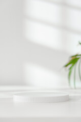 Minimalist White Round Display Stand Set Against Soft Natural Light