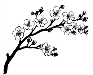 Black and white illustration of a cherry blossom branch.