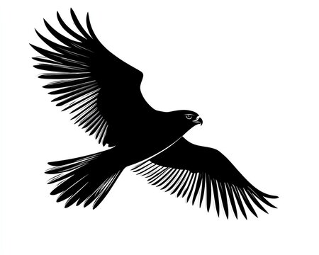 recommend clip art: Black and white silhouette of a hawk in flight