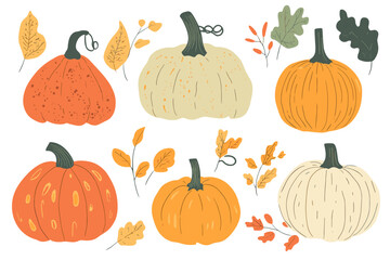 Set of simple autumn pumpkin. Hand drawn pumpkin squash in warm natural fall colors isolated on white. Vector illustration - autumn themes, Halloween