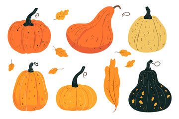 Set of simple autumn pumpkin. Hand drawn pumpkin squash in warm natural fall colors isolated on white. Vector illustration - autumn themes, Halloween