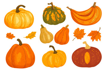 Set of simple autumn pumpkin. Hand drawn pumpkin squash in warm natural fall colors isolated on white. Vector illustration - autumn themes, Halloween