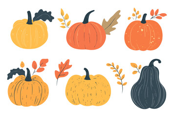 Set of simple autumn pumpkin. Hand drawn pumpkin squash in warm natural fall colors isolated on white. Vector illustration - autumn themes, Halloween