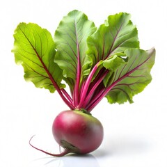 Fresh beetroot with green leaves on a white background