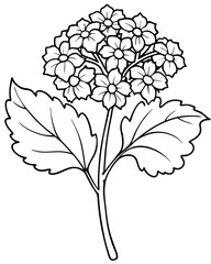Hand drawn simple flower outline