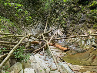 The river runs along the rocky cliffs in the mountains