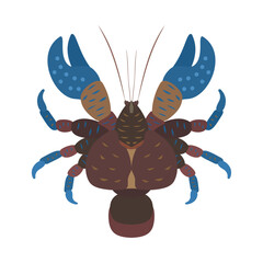 ヤシガニ。フラットなベクターイラスト。 Coconut crab (robber crab ,palm thief). Flat vector illustration.