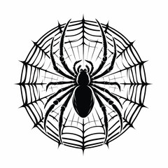 Fototapeta premium Intricate Spider and Web Design Black and White Illustration