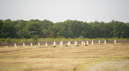 soldiers during a training. detail. the army in training.
