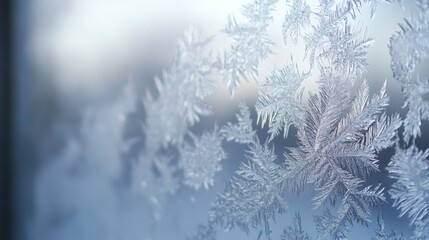 Detailed close-up of intricate frost patterns on a window pane.