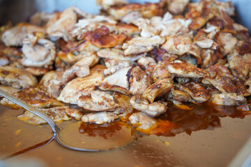 pieces of chicken cooked on the grill. detail.
