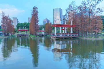 Grove of Larch in Qiandeng Lake Park, Foshan