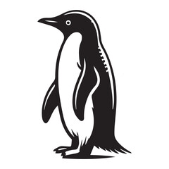 Obraz premium Adélie penguin Bird Clipart - Penguin Bird Vector illustration in black and white