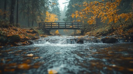 Fototapeta premium Autumn Forest Stream with Wooden Bridge