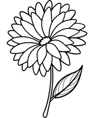 aster flower outline black and white cute coloring pages