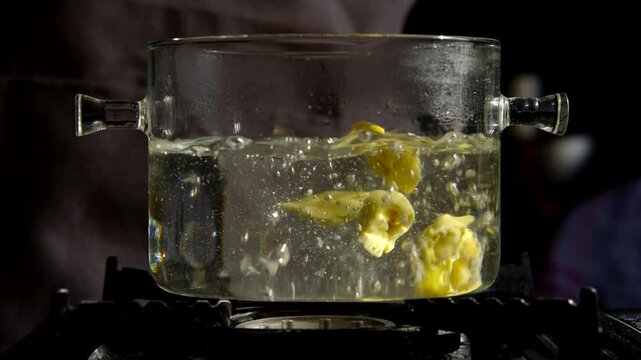 Transparent pot of boiling water cooking fresh tortellini on stove