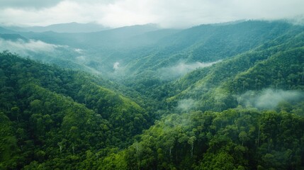Naklejka premium Aerial shot of the rainforest-covered valleys and waterfalls in the Bukit Barisan Selatan National Park, Sumatra.