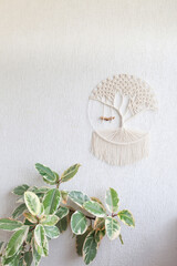Close-up of hand made macrame texture pattern. Tree of life. ECO friendly modern knitting DIY natural decoration concept in interior. Handmade 100% cotton. Female hobby. Copy space.