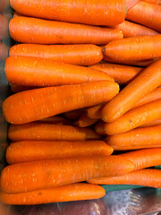 bunch of carrots