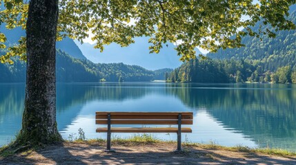 Serene Lakeside Bench View
