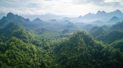 Naklejka premium Bird's eye view of the dense forests and karst landscape of Nam Ha National Park in Luang Namtha.