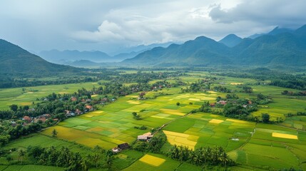 Obraz premium Bird's eye view of the expansive paddy fields and remote villages in the Xieng Khouang Province.