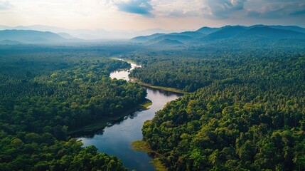 Top view of the lush countryside surrounding the Cardamom Mountains, with dense jungles and flowing rivers.