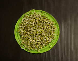 sprouted green gram in plate