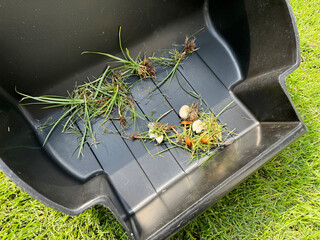 芝生にはえた雑草やキノコの駆除