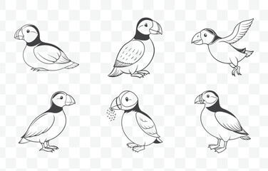 Puffin Line Art Vector Set Featuring Detailed Drawings of Puffins in Various Poses for Design and Illustration