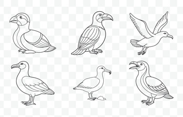 Auk Bird Line Art Vector Set Detailed Illustrations of Auks in Minimalist Black and White Design