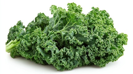 Fototapeta premium a head of curly kale, crisp and vibrant, rich green tones, isolated on white background