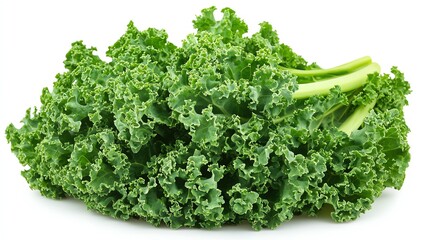 a head of curly kale, crisp and vibrant, rich green tones, isolated on white background