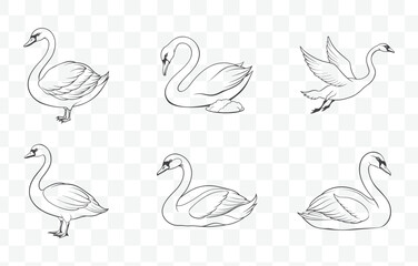 Elegant Swan Line Art Vector Set Featuring Graceful Birds in Various Poses and Styles Perfect for Artistic Designs