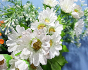 Lots of beautiful flowers in the front garden	
