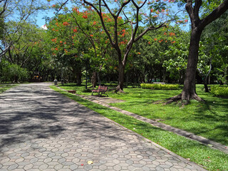 The atmosphere in the park has beautiful flowers and plants