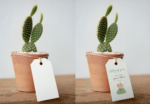Cactus Pot Thank You Tag Mockup
