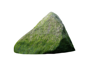 sea stone with algae isolated on white background
