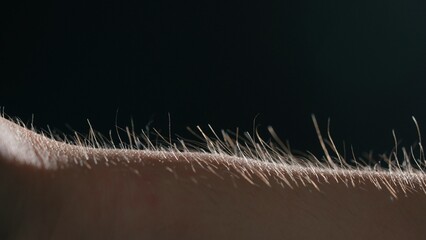 Macro shot of Hair Standing on End Against a Dark Background