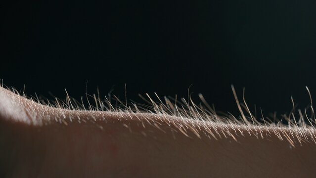 Macro shot of Hair Standing on End Against a Dark Background