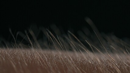 Macro shot of Hair Standing on End Against a Dark Background