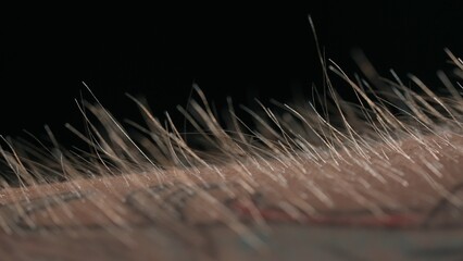 Macro shot of Hair Standing on End Against a Dark Background