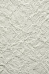Obraz premium Premium White Paper Texture Background for High Quality Digital Design