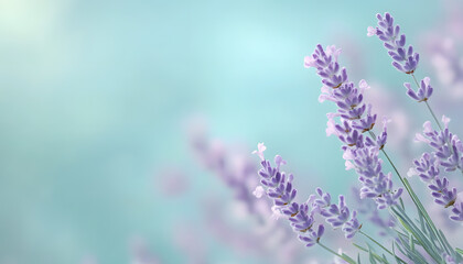 Obraz premium A single pastel color, such as mint green or lavender, providing a soothing and simple backdrop