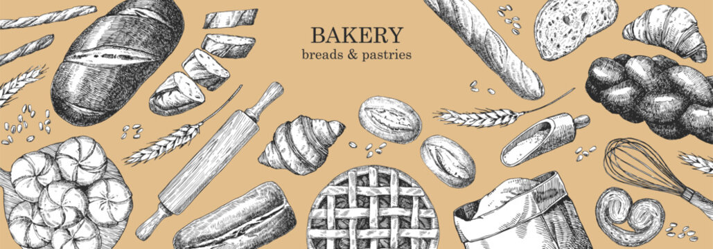 Bakery products. Bakery design template. Hand-drawn illustration of Bred. Ink. Vector	